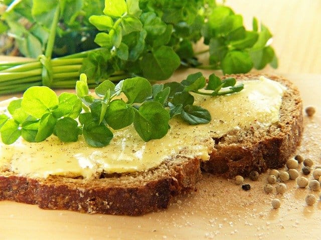 Watercress leaves with a buttered bread