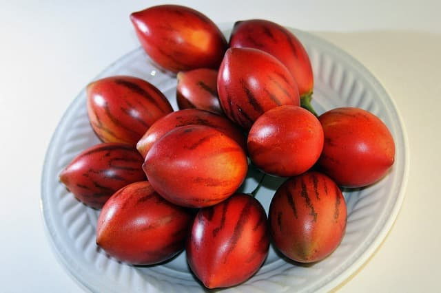 Several tamarillo (tree tomato) fruits in a plate