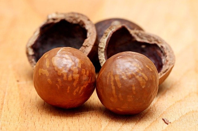 Unprocessed macadamia nuts