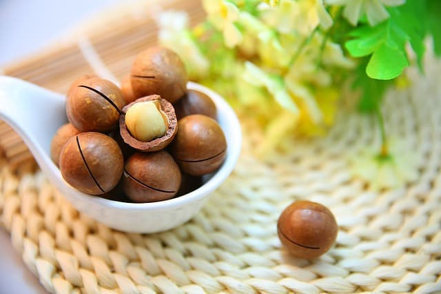 macadamia nuts in a small bowl