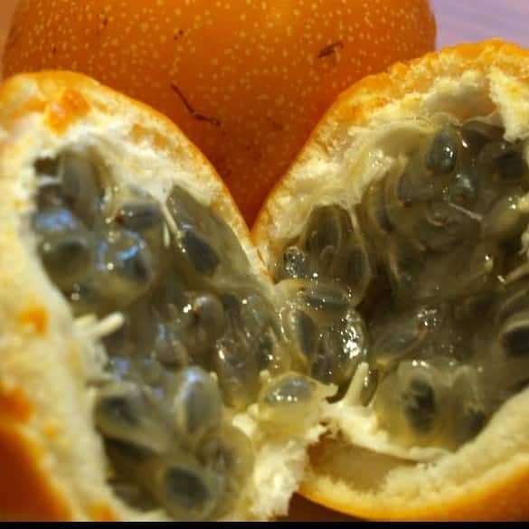 A whole sweet granadilla and two halves displaying a sweet transparent pulp with black seeds